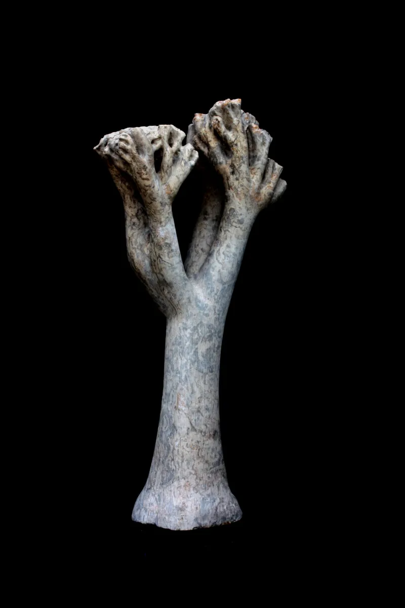 Silêncios, Vítor Ribeiro, 2019, Santo António breccia