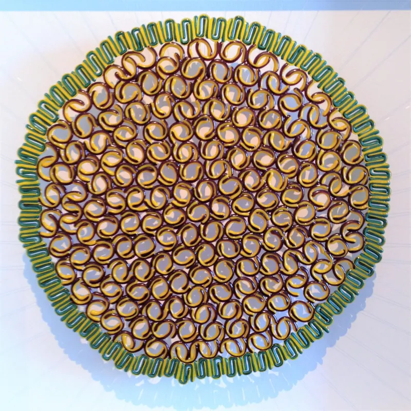 Rosáceas X, Manuela Castro Martins, 2016, Cast glass, wood and nylon thread