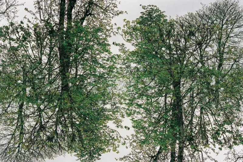 Bruxelas II, Francisco Pereira Coutinho (neto), 2023, Photograph on Diasec