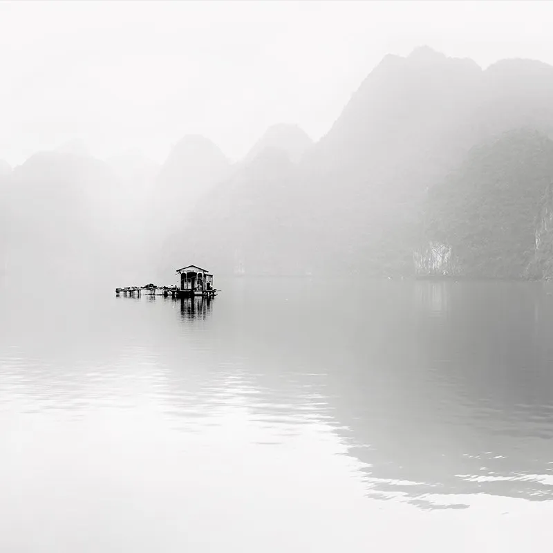 Jardim Aquático, Alexandre Manuel, 2020, Photograph on Diasec