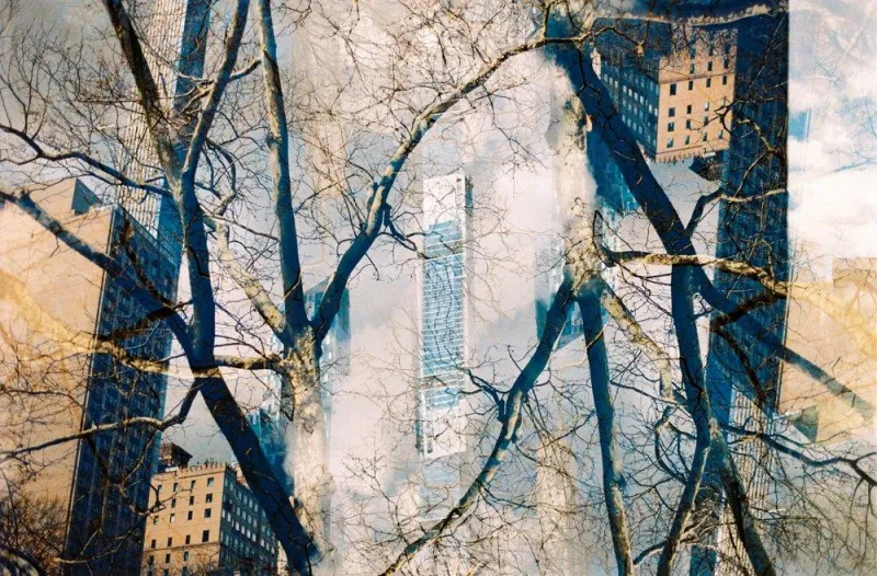New York VII, Francisco Pereira Coutinho (neto), 2022, Photograph on Diasec face