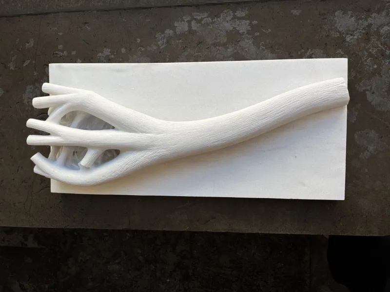Ramo de Árvore, Vítor Ribeiro, 2026, White marble